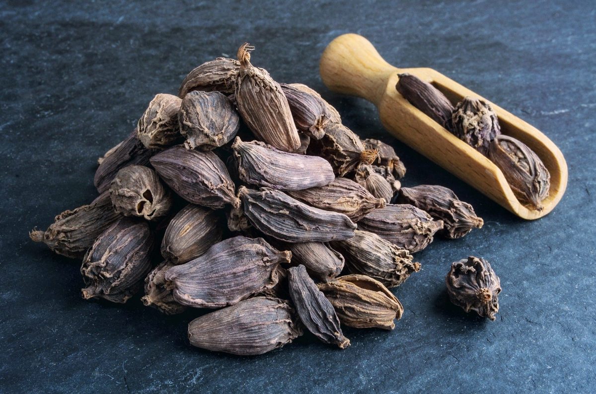 black cardamom