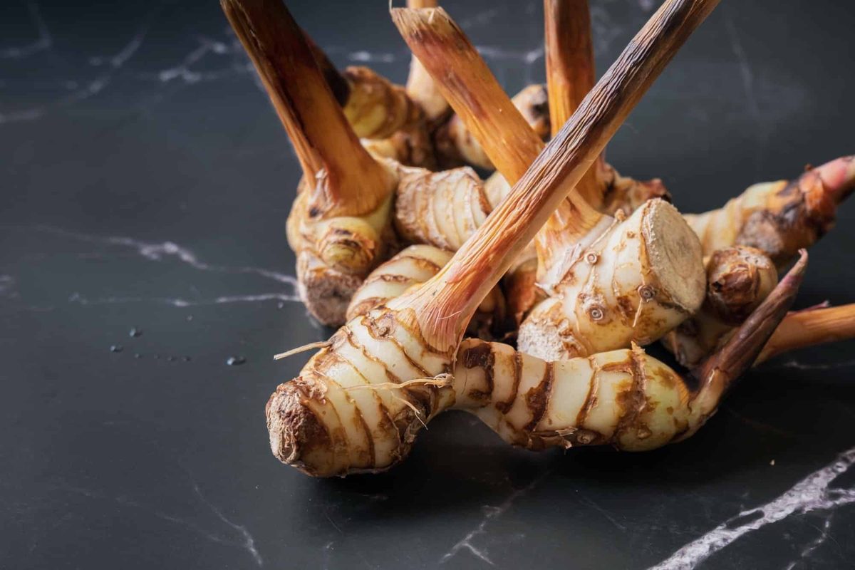 can you freeze galangal