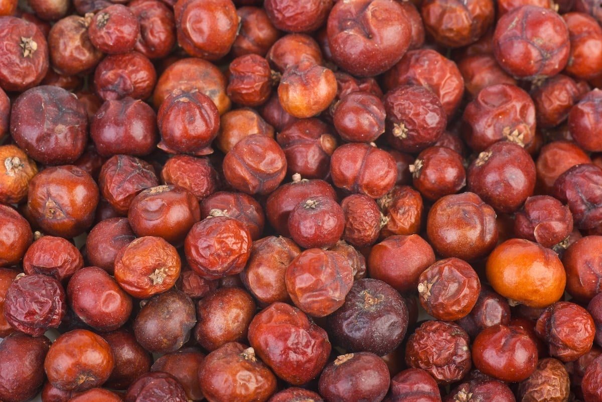 cedar berries vs juniper berries