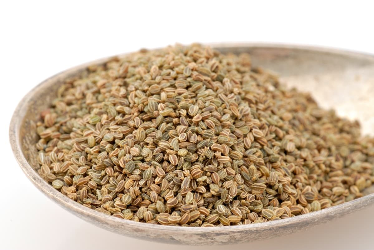 Celery Seed Vs Celery Salt