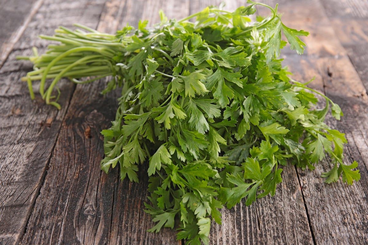 Cilantro Vs. Parsley