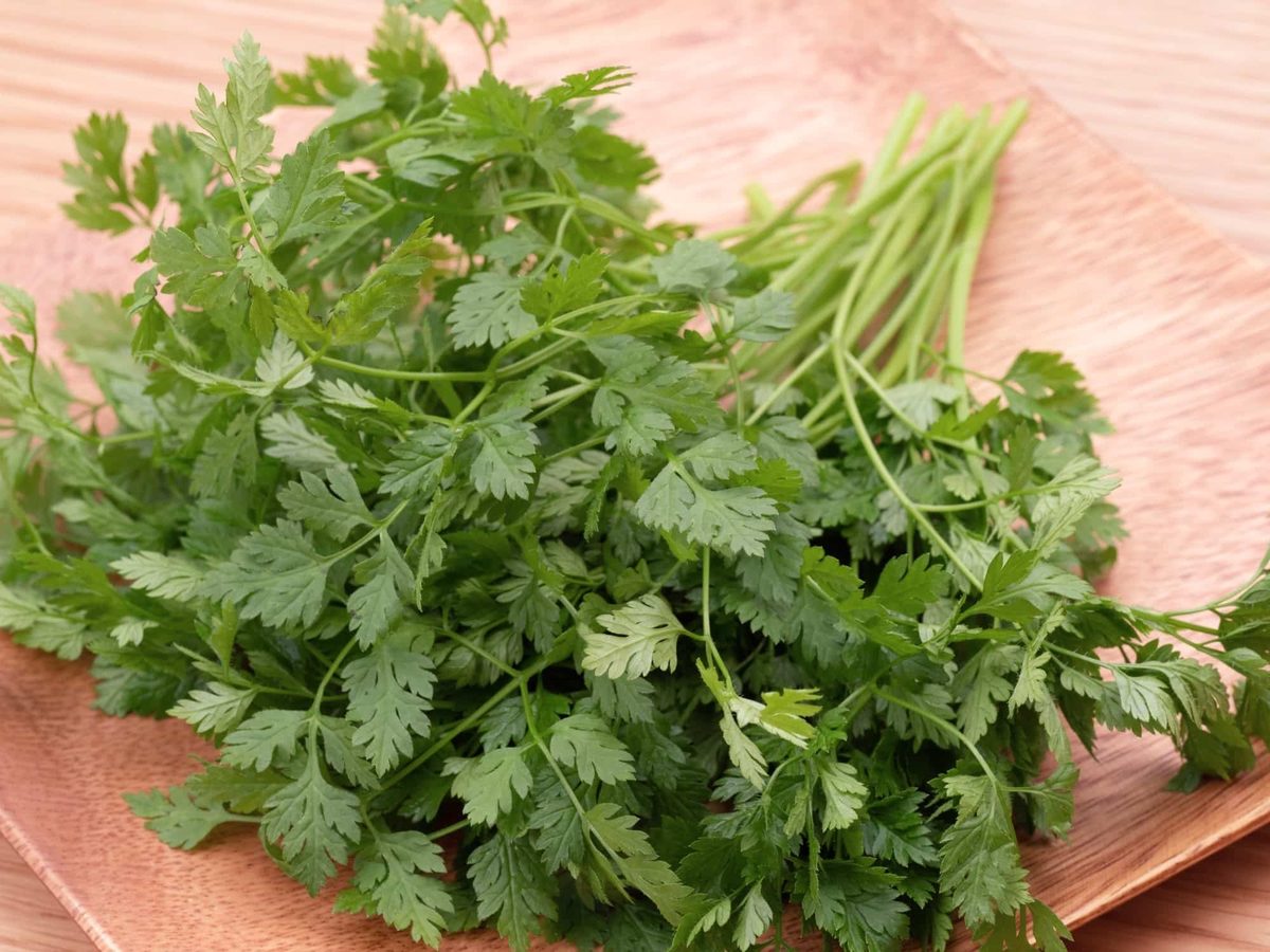 Cooking with chervil