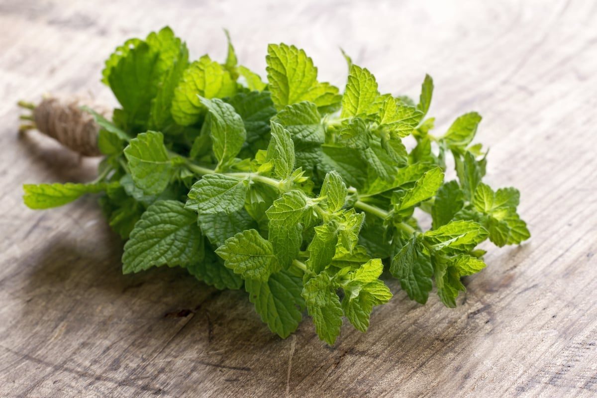 Cooking with Mint