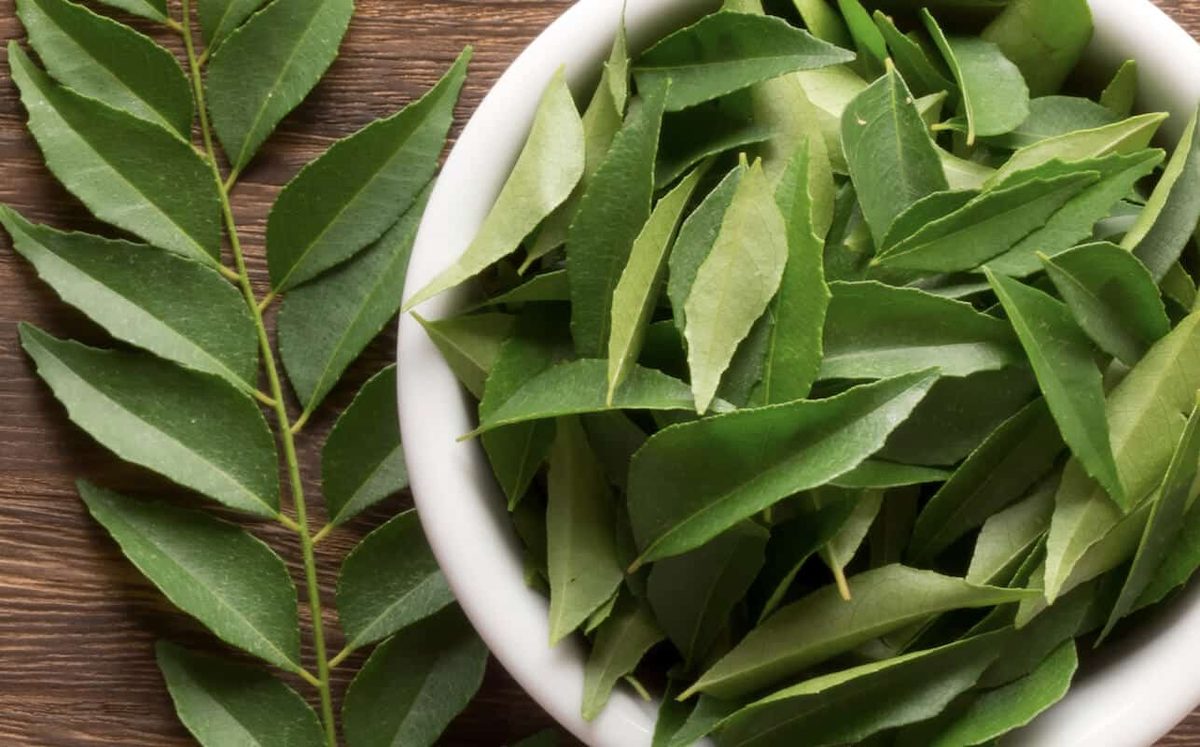 Curry Leaf Substitute