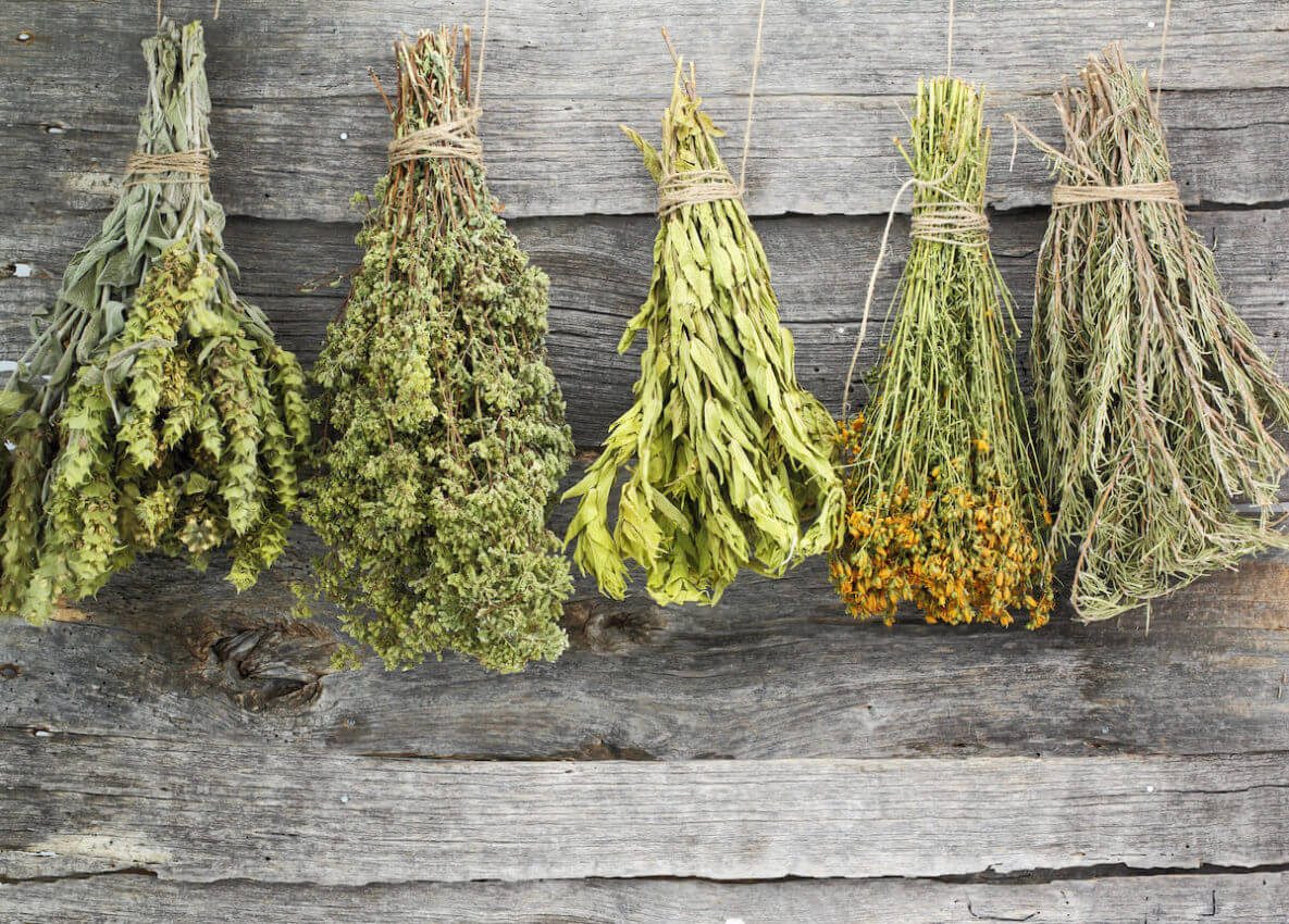 Dried Herbs Vs Fresh