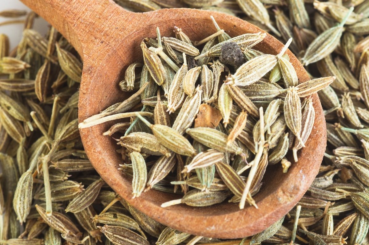 fennel seed vs anise seed