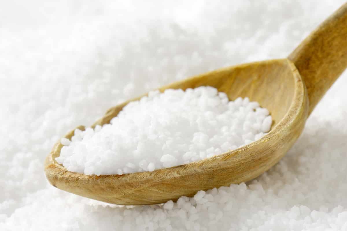 fleur de sel vs kosher salt