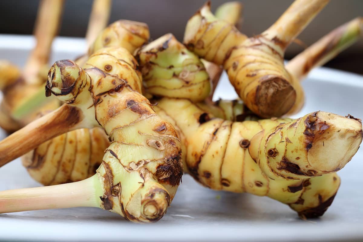 Galangal substitute