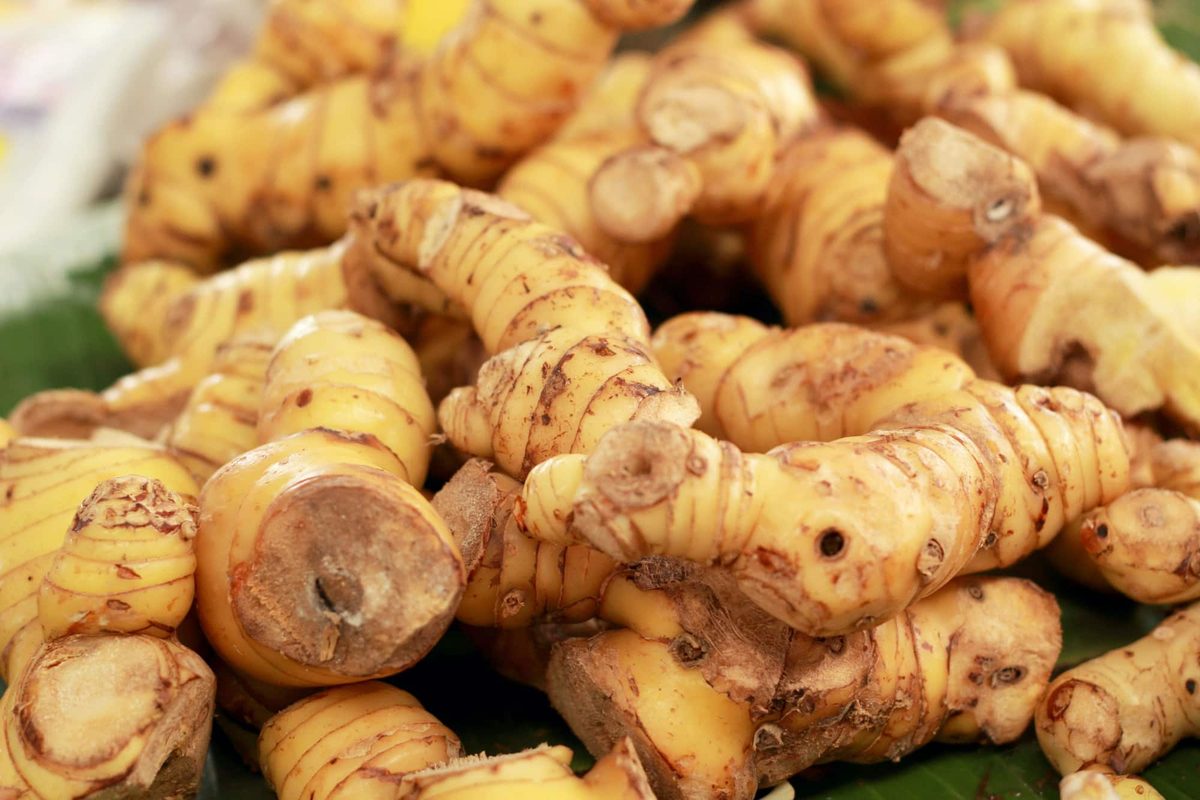 Galangal vs Ginger