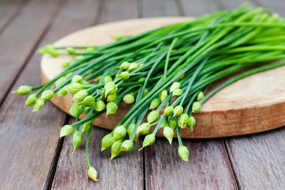 Garlic chives