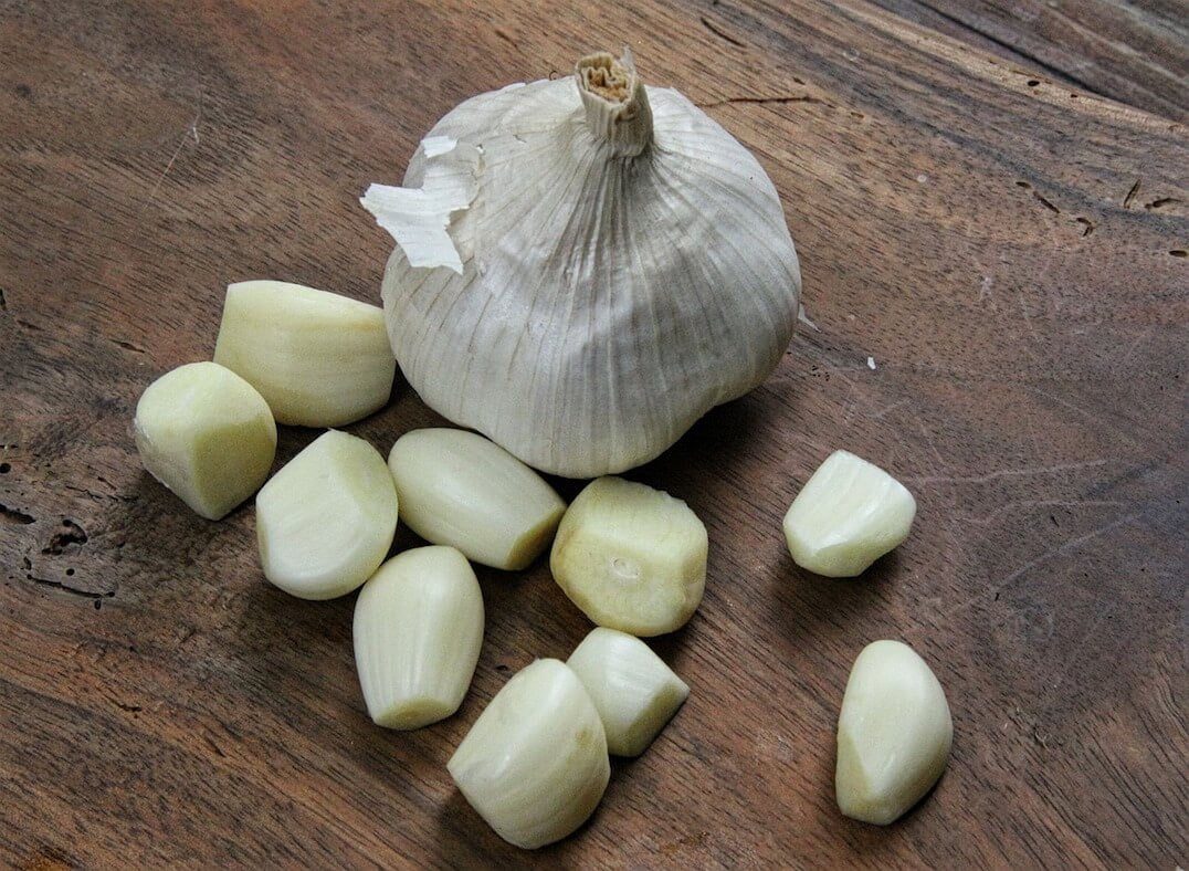 Garlic Powder Vs Garlic