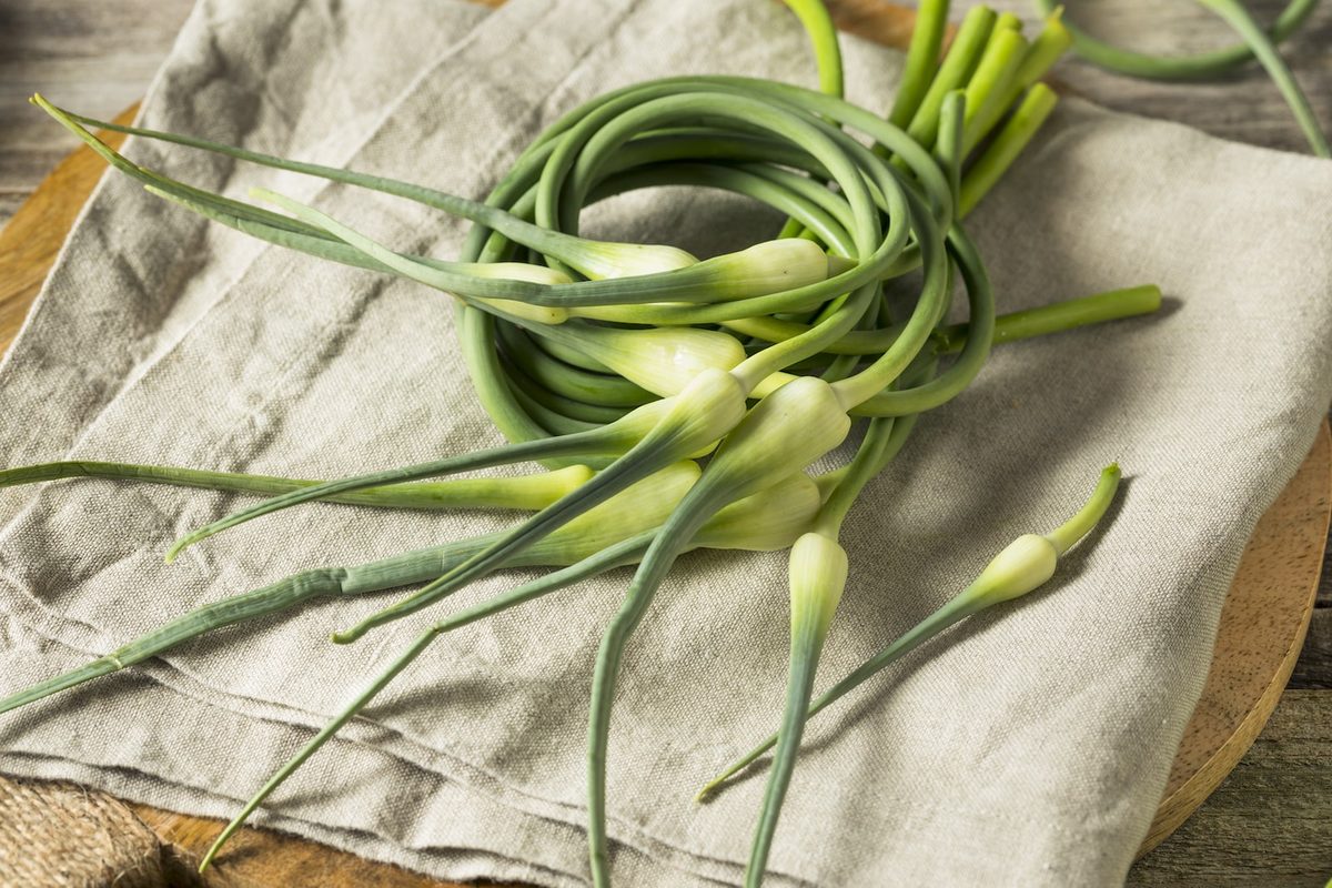 Garlic Scapes