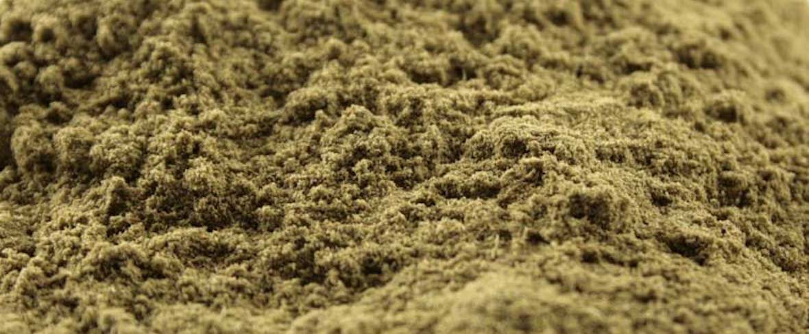 gumbo file powder