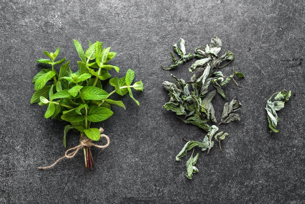 How to dry mint