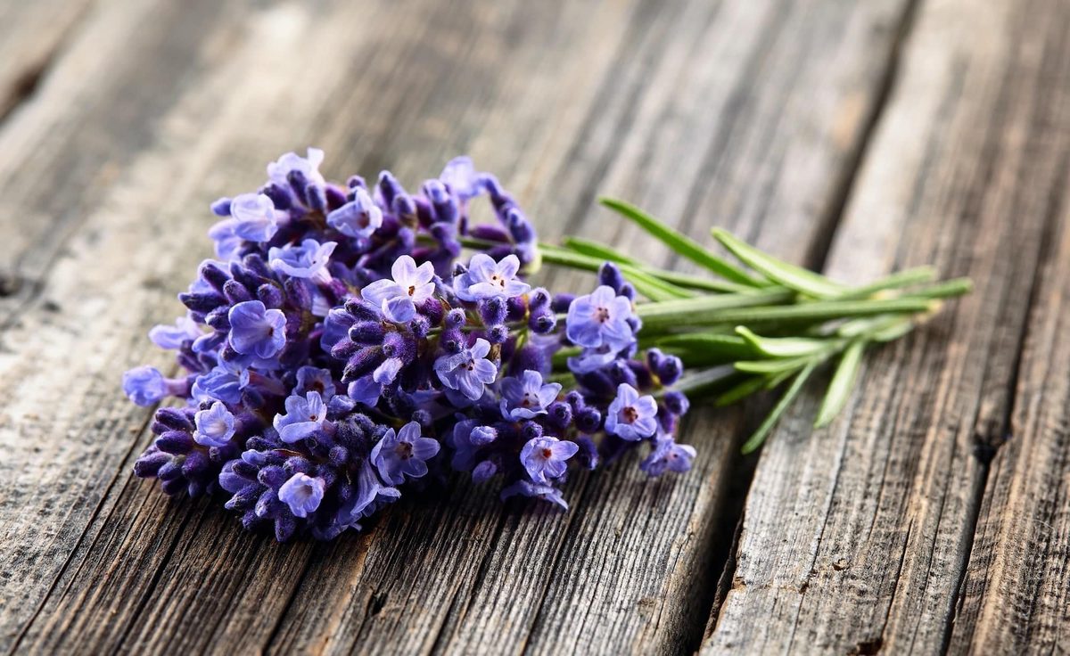 How to store lavender