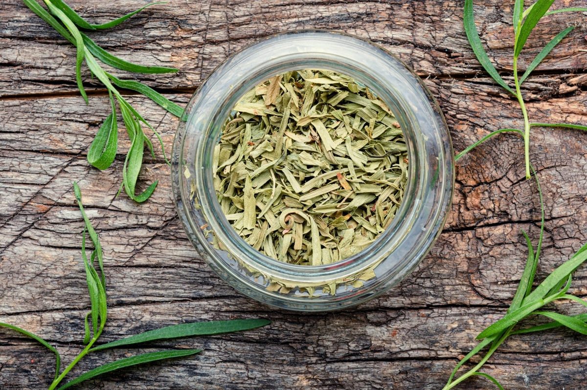 how to store tarragon