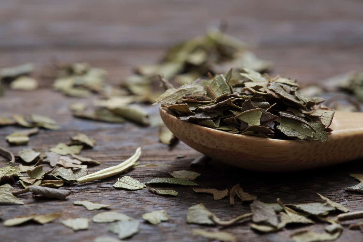 Lemon Myrtle