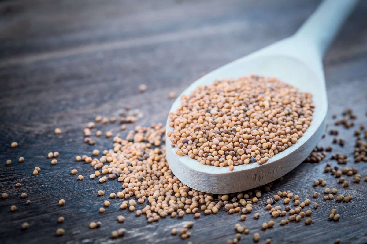 mustard powder vs. mustard seed