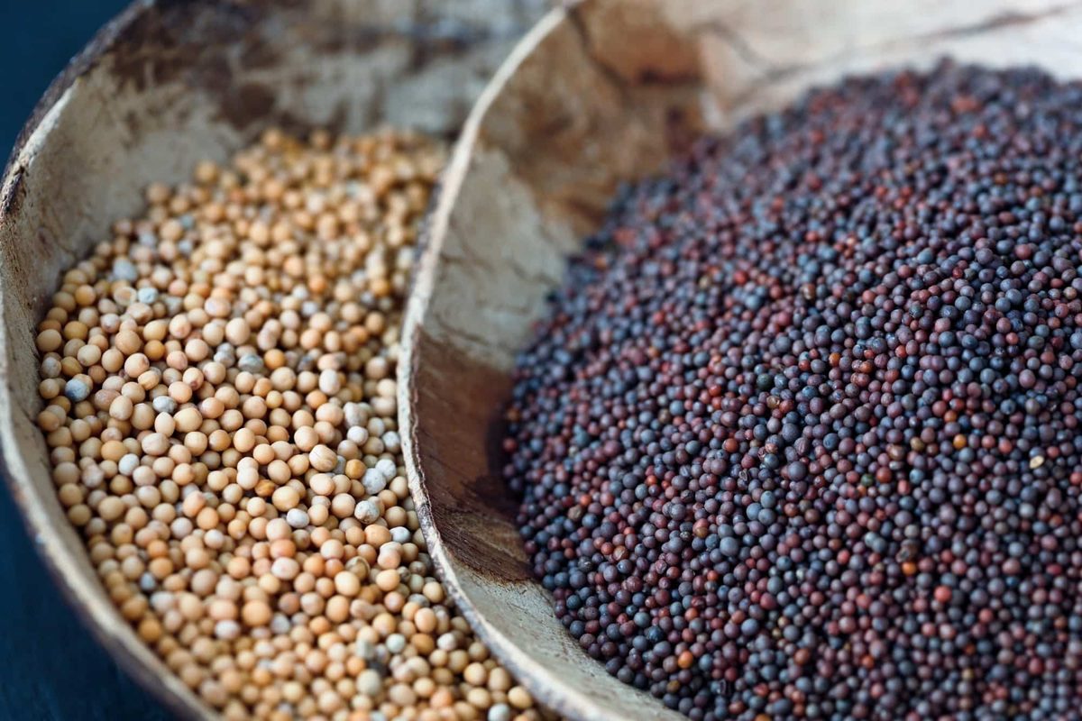 mustard seed uses