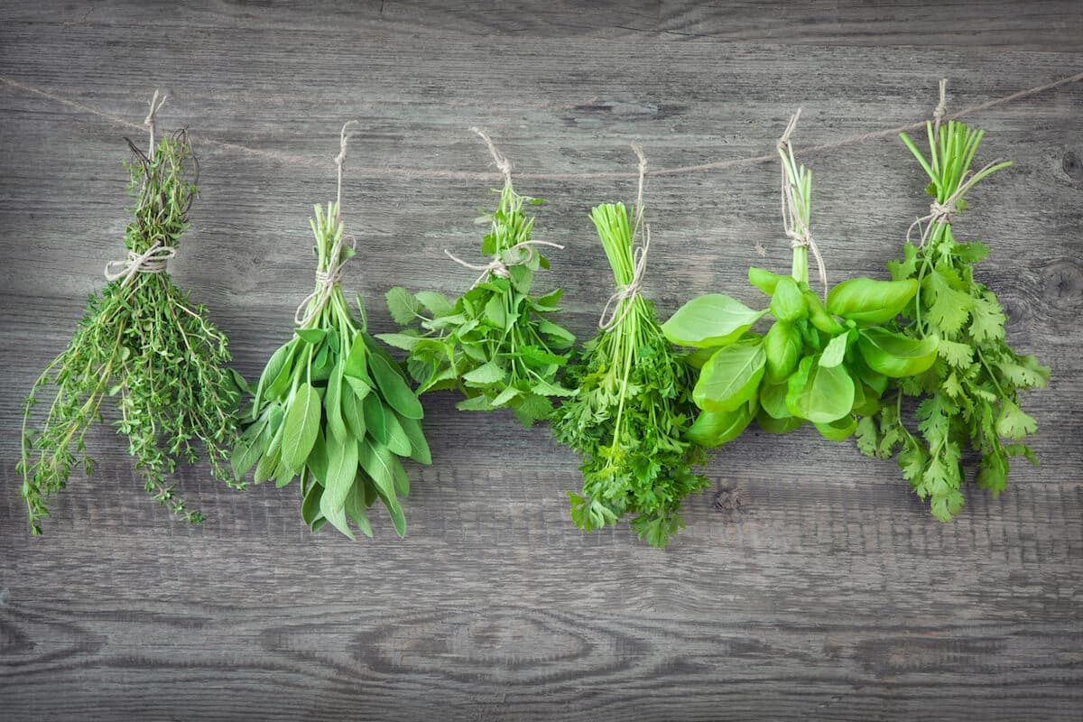 Summer Savory Substitute