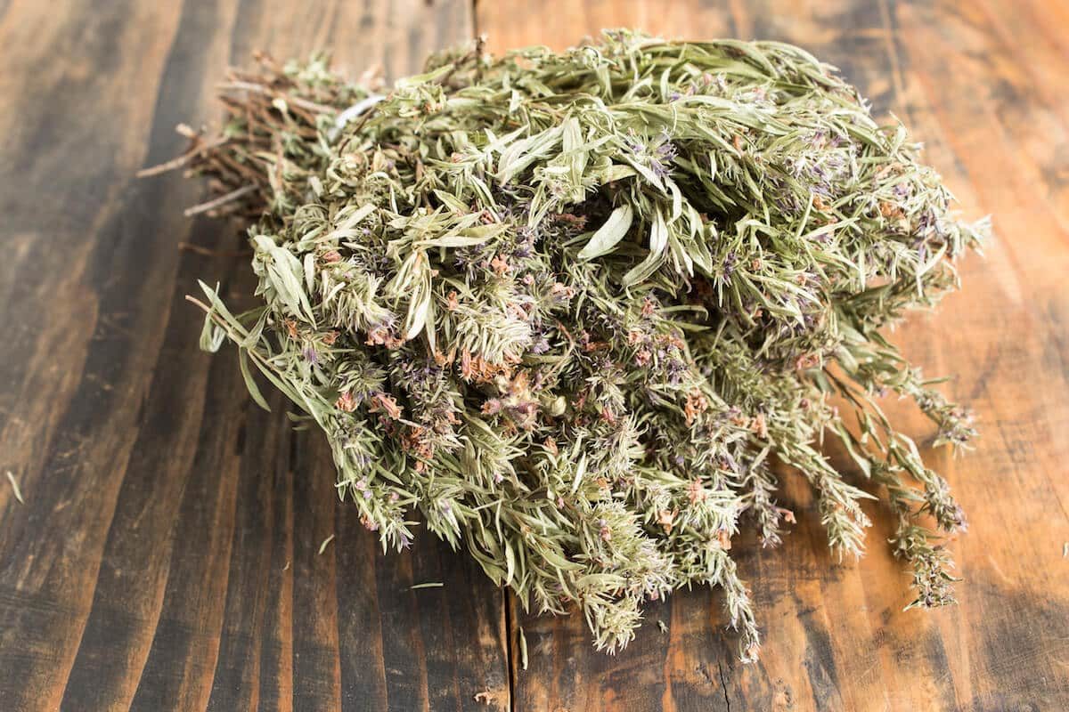 Summer Savory