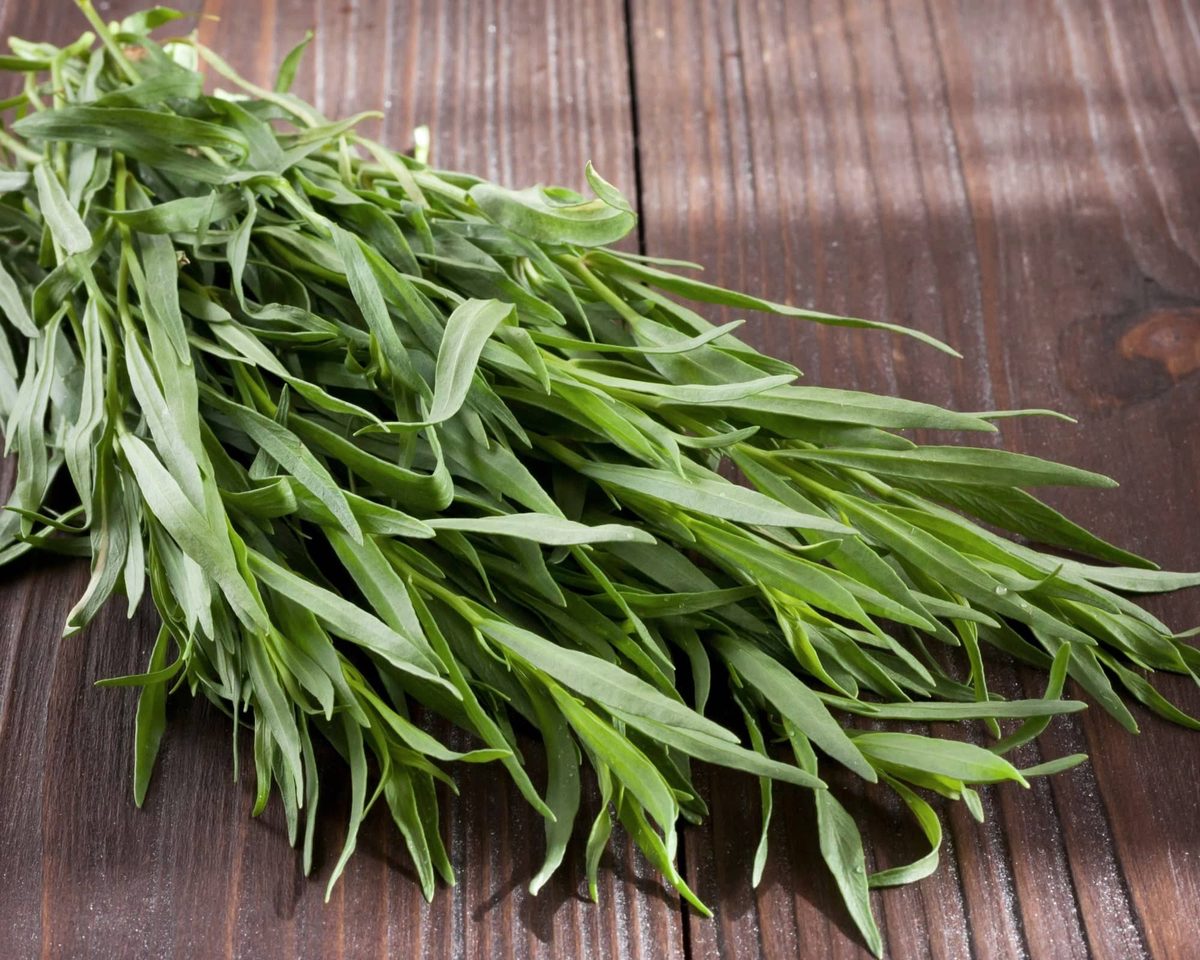 tarragon vs. dill