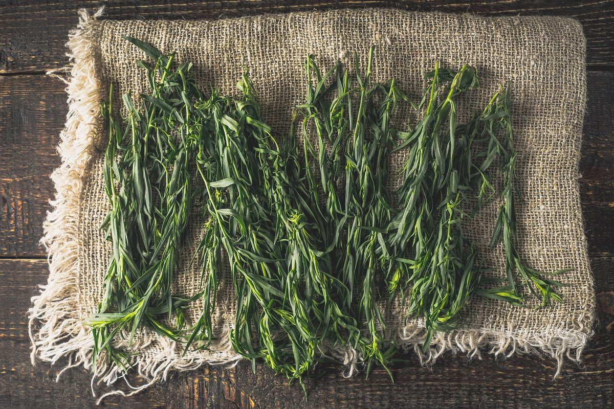 Tarragon vs Rosemary