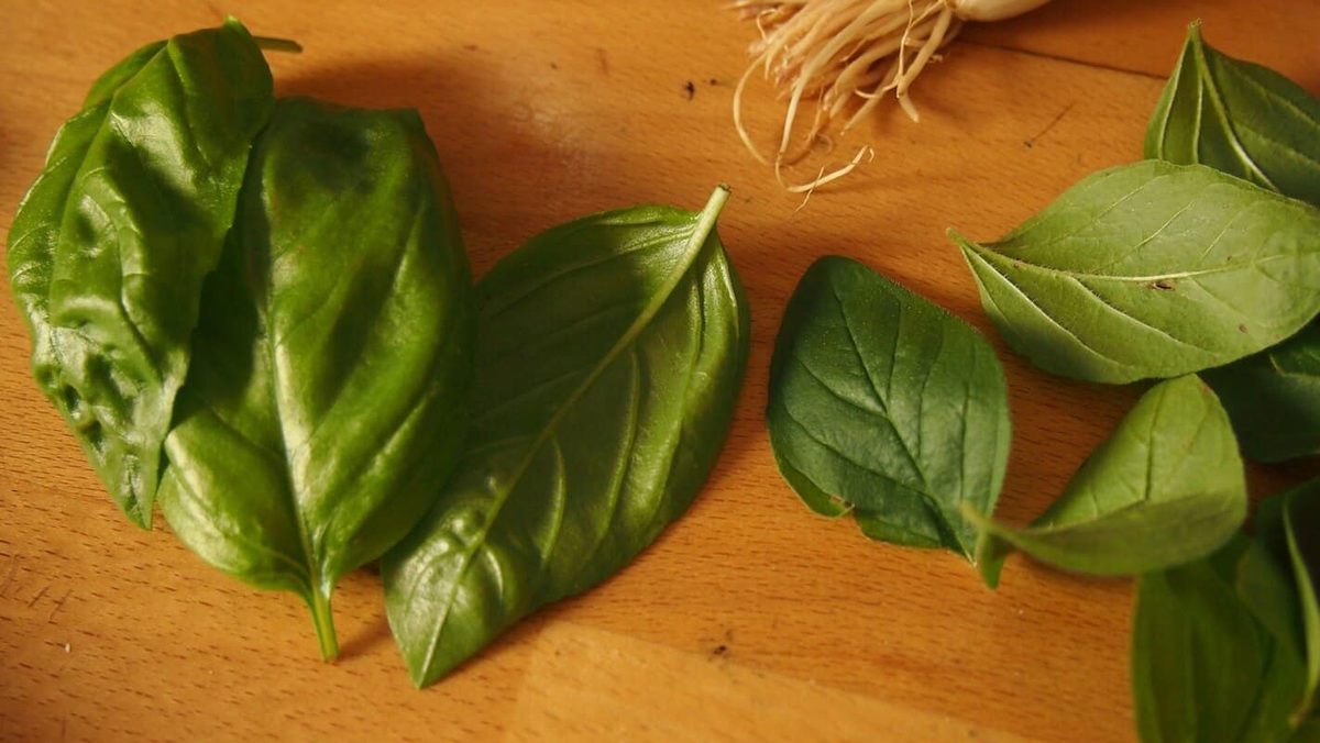 Too Much Basil
