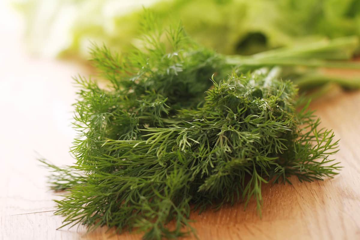too much dill