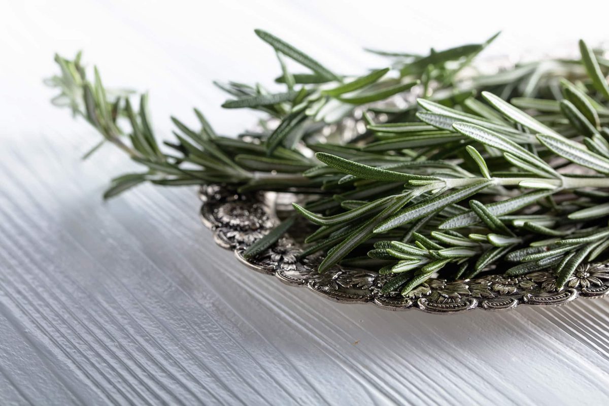 Too Much Rosemary