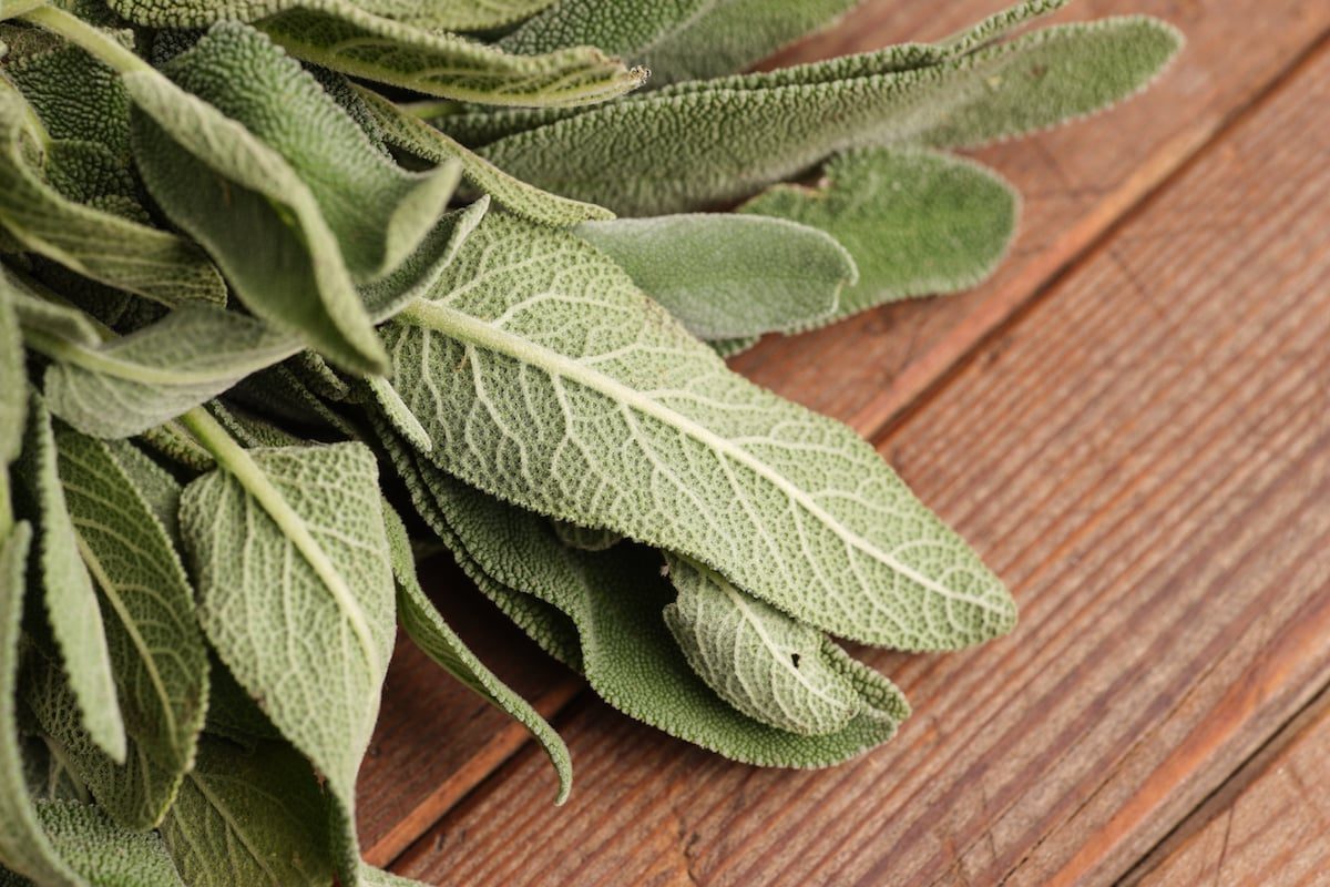 Too Much Sage