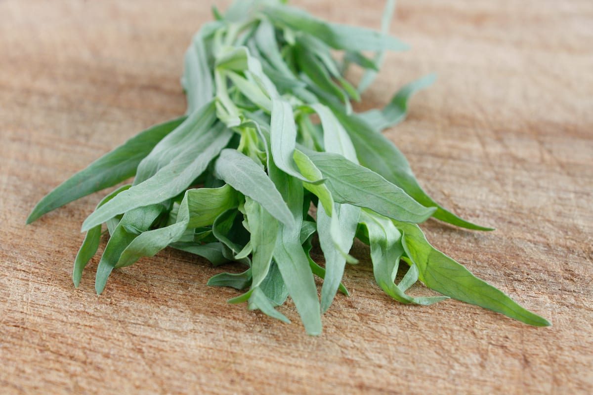 too much tarragon