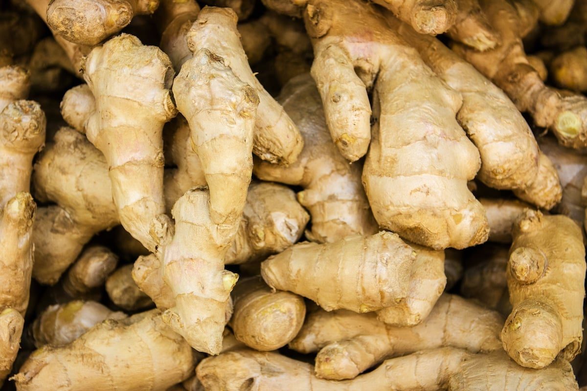 wasabi vs horseradish