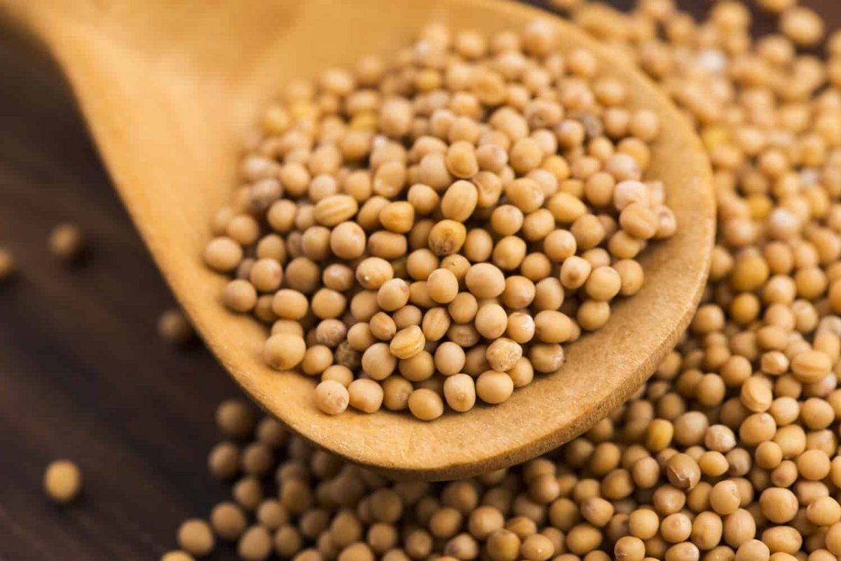 Yellow Mustard Seeds
